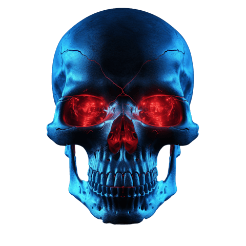 left skull
